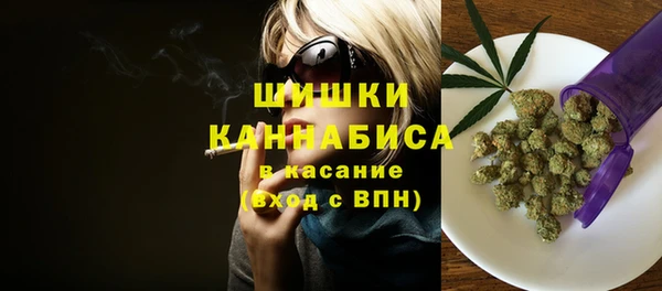 мдпв Пестово