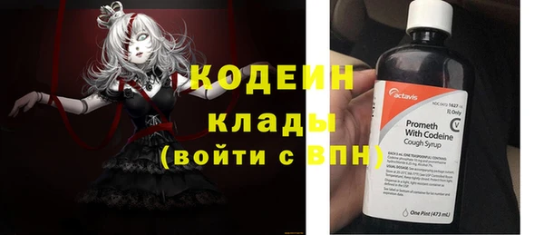мдпв Пестово
