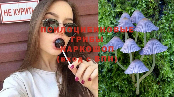 мдпв Пестово
