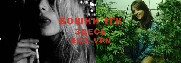 мдпв Пестово
