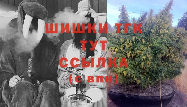 мдпв Пестово
