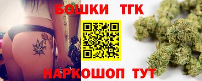прущие крисы Камышлов