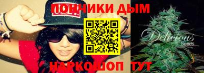 прущие крисы Камышлов