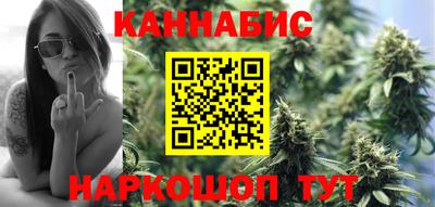 прущие крисы Камышлов