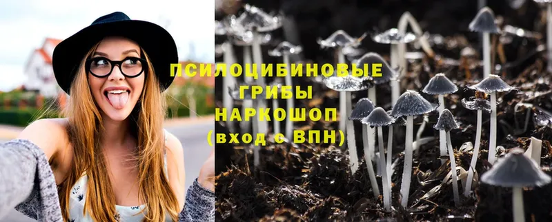 МЕГА   Тобольск  Псилоцибиновые грибы Magic Shrooms 