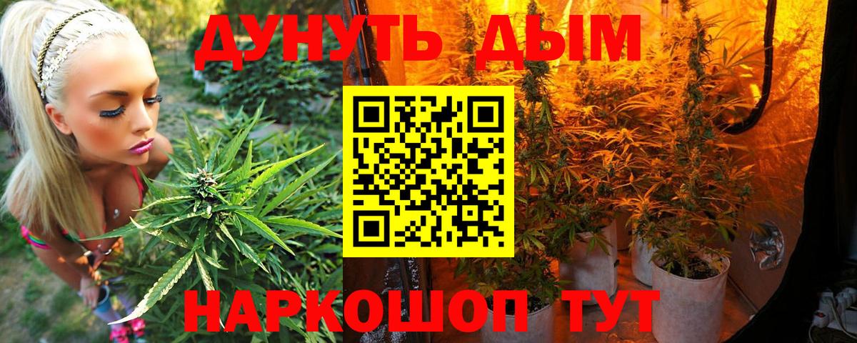 Шишки марихуана LSD WEED  МАРИХУАНА White Widow  Бошки марихуана Bruce Banner  Марихуана марихуана  Тобольск 